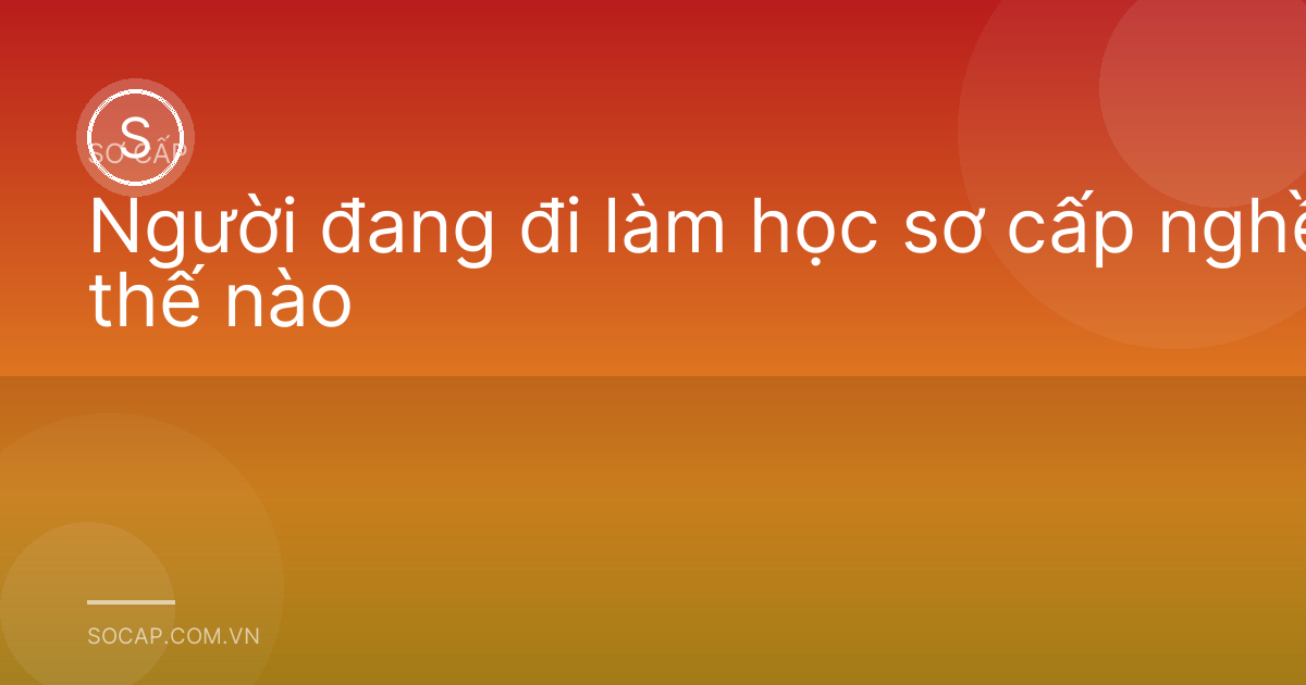 Người đang đi làm học sơ cấp nghề thế nào